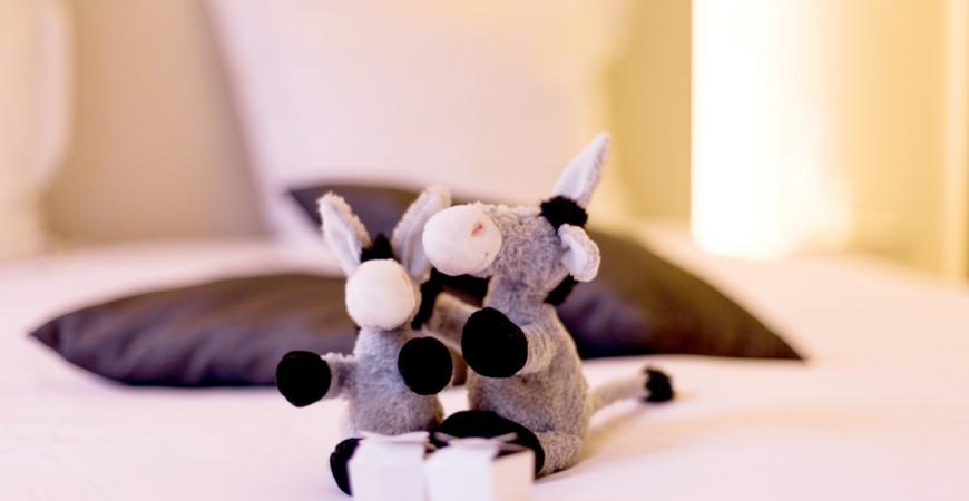 Asinello B&B Gallerij Baptiste Asinello B&B Gallerij Baptiste